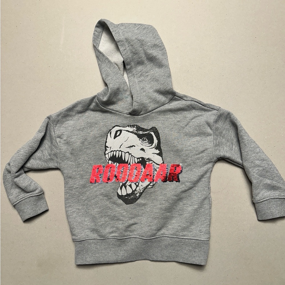 Gray Dinosaur Hoodie for Kids